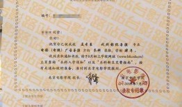 电影录取通知书在线观看,揭秘影视学院背后的秘密与梦想之旅