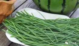 成县的吃瓜网红,带你领略地方美食风情
