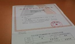 电影录取通知书在线观看,揭秘影视学院背后的秘密与梦想之旅