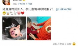 爆料自己怀二胎视频大全,二胎惊喜揭晓！明星辣妈怀二胎视频大盘点
