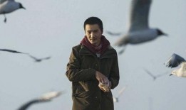 娱乐圈爆料朴树事件真相,娱乐圈背后的真相曝光