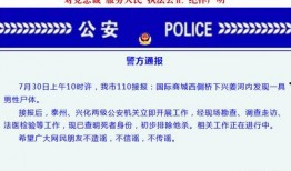 兴化爆料新闻最新消息,突发事件引发关注，详情即将揭晓