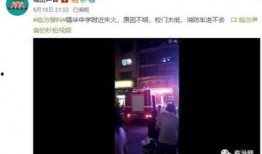 爆料什么样的视频火,揭秘火视频生成秘诀
