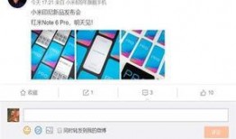 娱乐新闻爆料贴条怎么编辑,明星动态大揭秘，幕后故事一网打尽！
