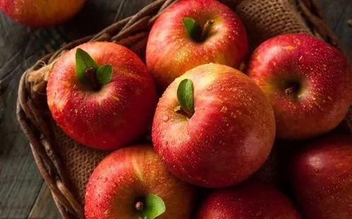 娱乐吃瓜酱苹果